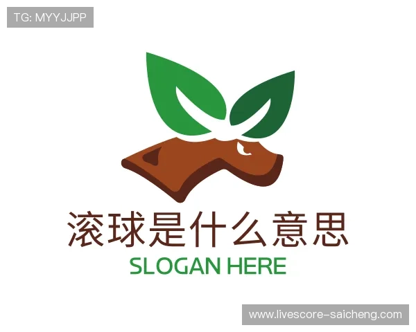 认识篮球滚球盘